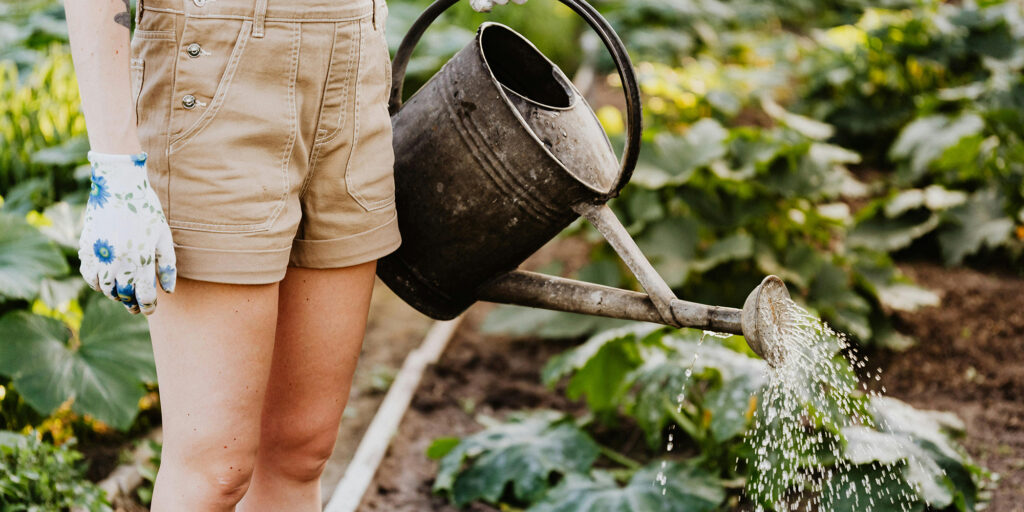 8 Ways to Conserve Water When Landscaping This Summer (With Infographic)