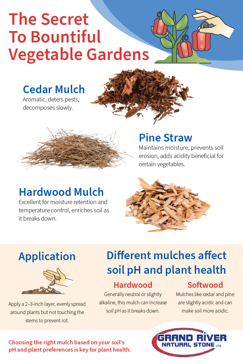 Natural Mulch for Vegetable Gardens is The Secret to a Successful Harvest Infographic
