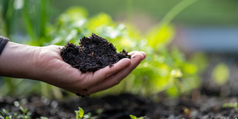 Landscaping Rocks Effects on Soil Health